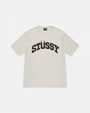 Beige Stüssy Block Sport Pigment Dyed T-Shirt | UAE WOR364918