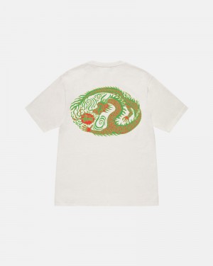 Beige Stüssy Mosaic Dragon Pigment Dyed T-Shirt | UAE ZIX375490