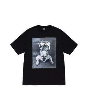 Black Stüssy Bulldog T-Shirt | UAE PGC512746