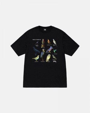 Black Stüssy California Birds T-Shirt | UAE JCF094732