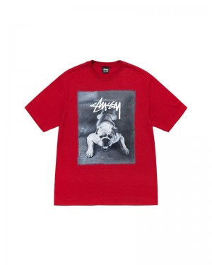 Red Stüssy Bulldog T-Shirt | UAE VTF498567