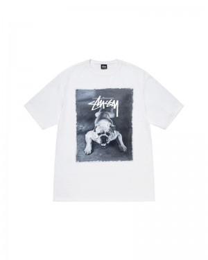 White Stüssy Bulldog T-Shirt | UAE REQ361958