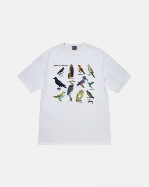 White Stüssy California Birds T-Shirt | UAE GKT926751