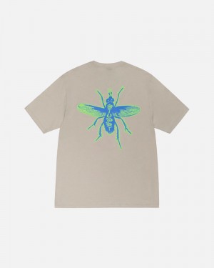 White Stüssy Housefly Off T-Shirt | UAE UNB928641