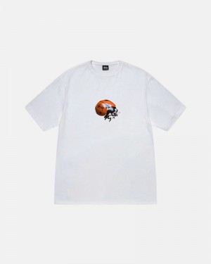 White Stüssy Ladybug T-Shirt | UAE MSY675249