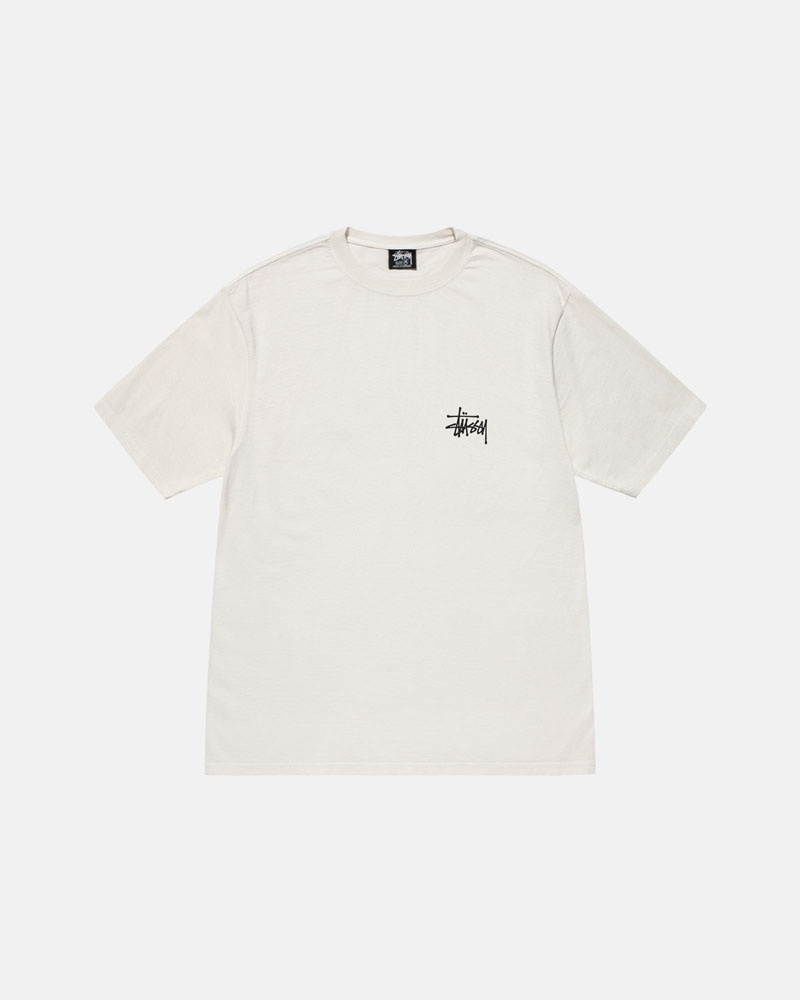 Beige Stüssy Basic Pigment Dyed T-Shirt | UAE TER705341