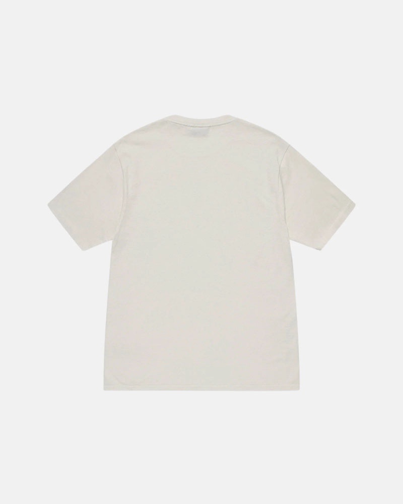 Beige Stüssy Block Sport Pigment Dyed T-Shirt | UAE WOR364918