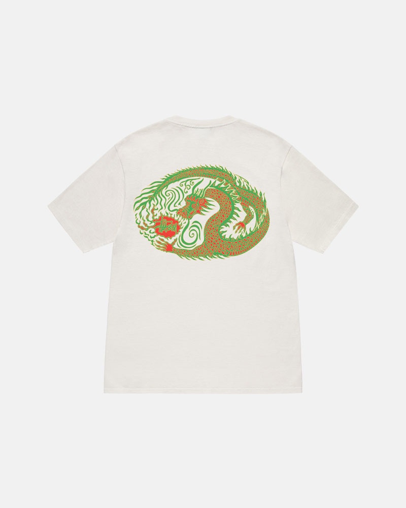 Beige Stüssy Mosaic Dragon Pigment Dyed T-Shirt | UAE ZIX375490