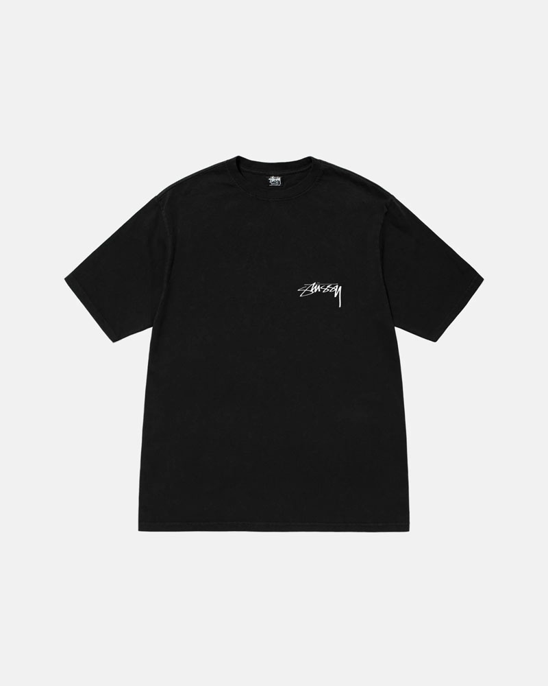 Black Stüssy Arachnid Pigment Dyed T-Shirt | UAE KTM093426