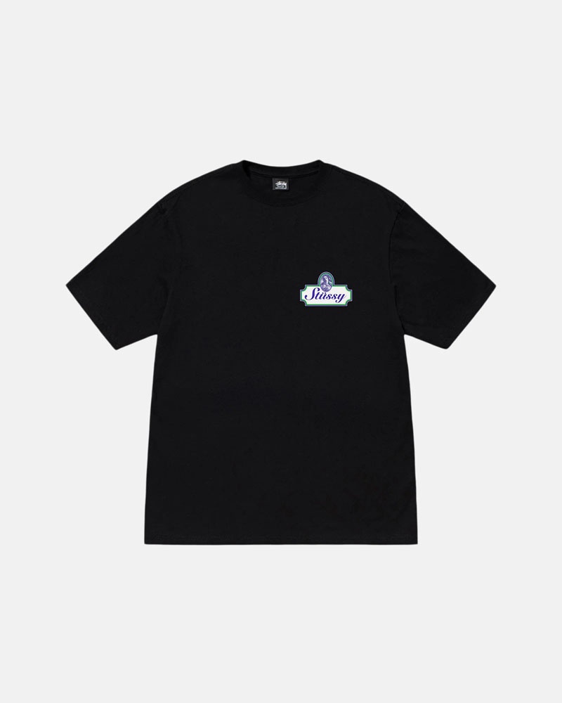 Black Stüssy Authentic T-Shirt | UAE EGA473869