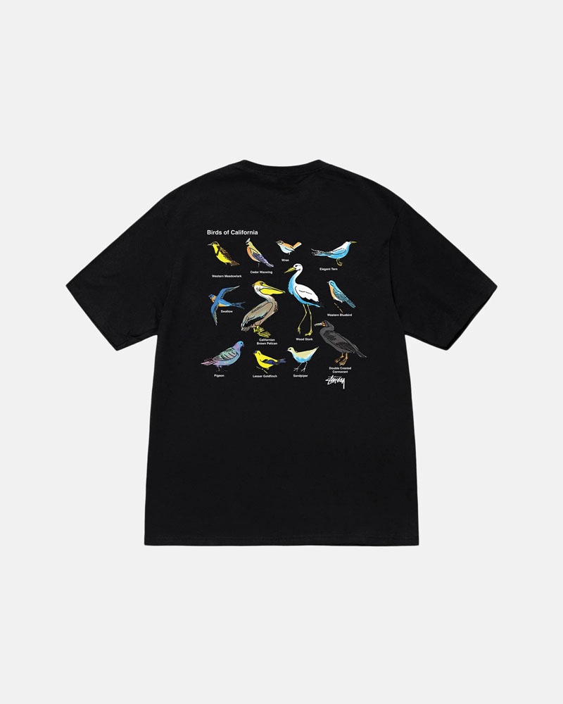 Black Stüssy California Birds T-Shirt | UAE JCF094732