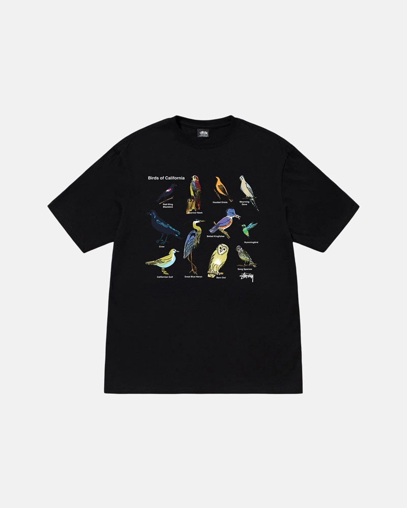 Black Stüssy California Birds T-Shirt | UAE JCF094732