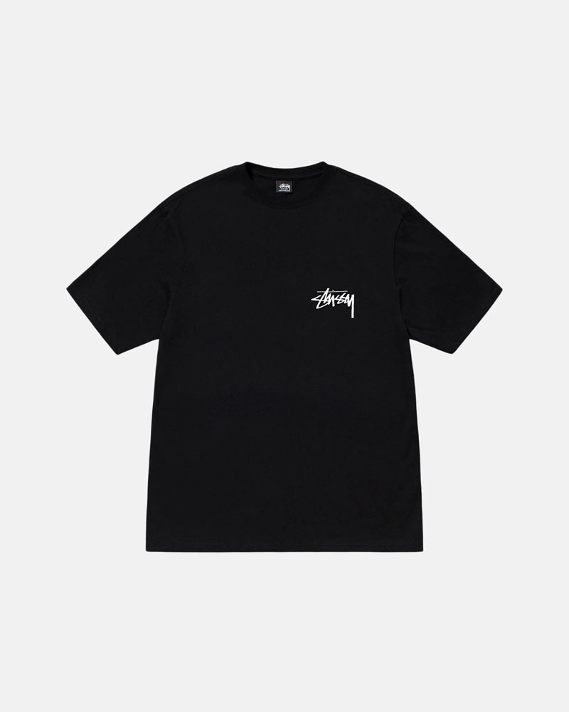 Black Stüssy Diced Out T-Shirt | UAE NFT819352