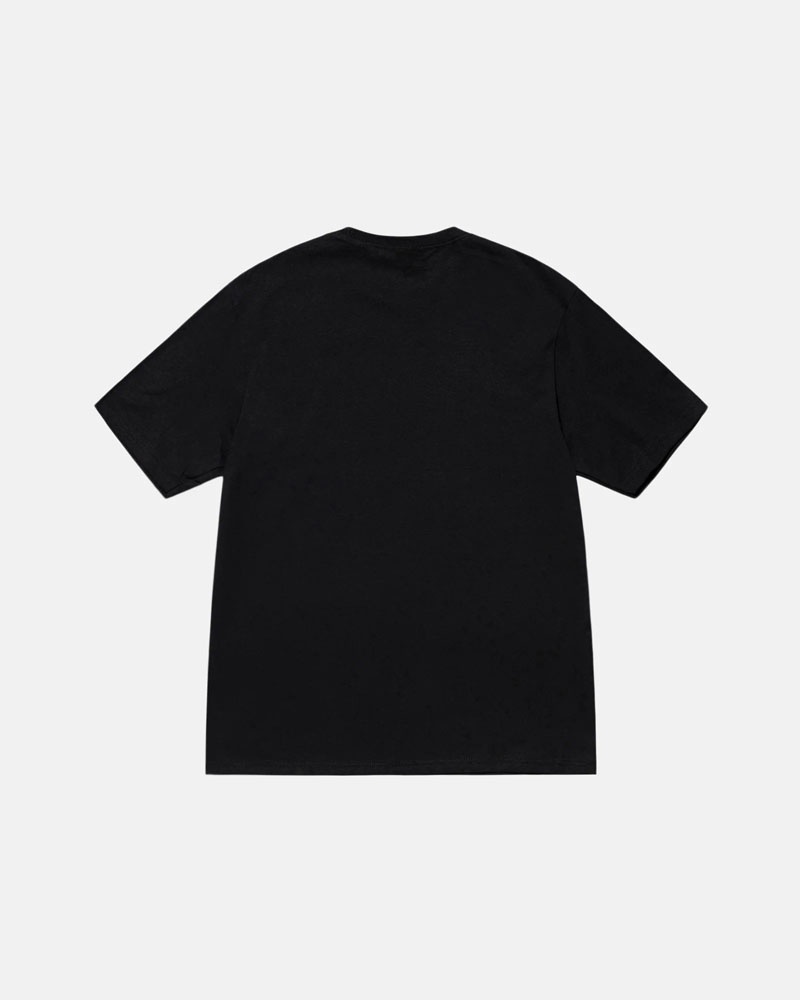 Black Stüssy Lucha T-Shirt | UAE UAI820673