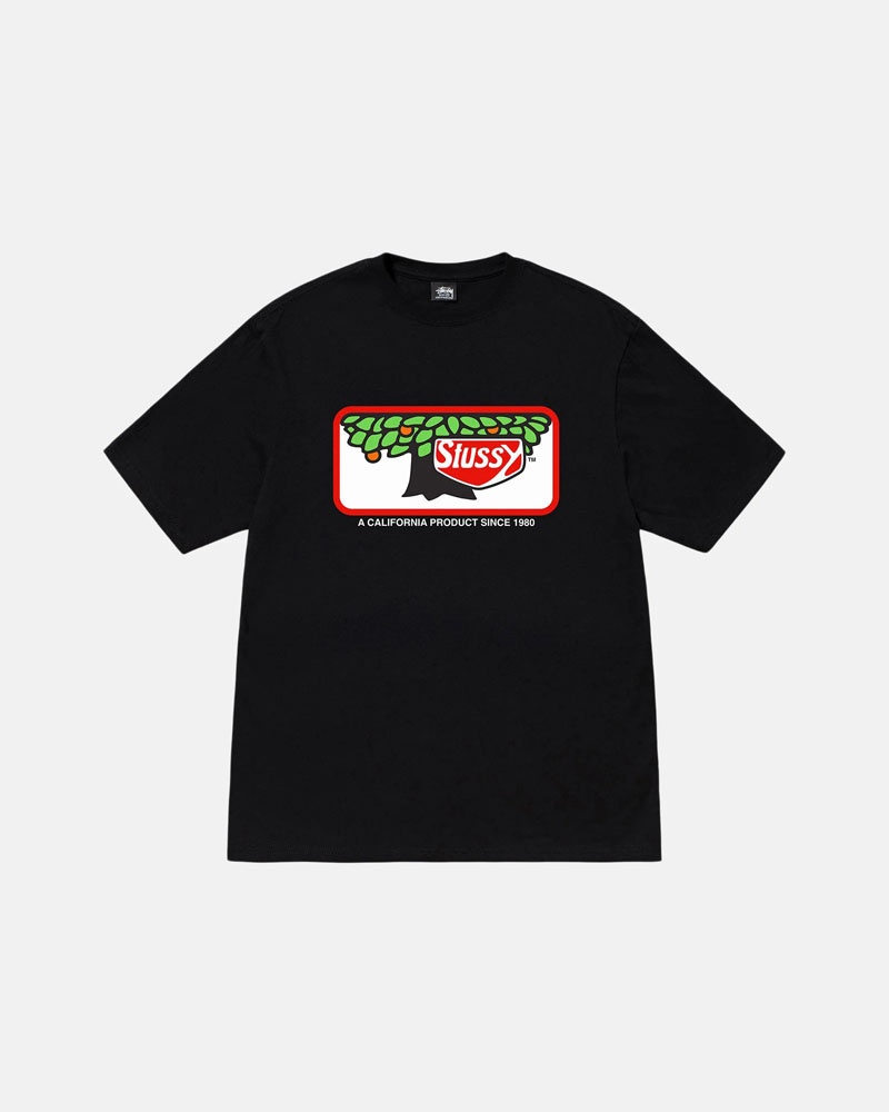 Black Stüssy Orchard T-Shirt | UAE ICE172349