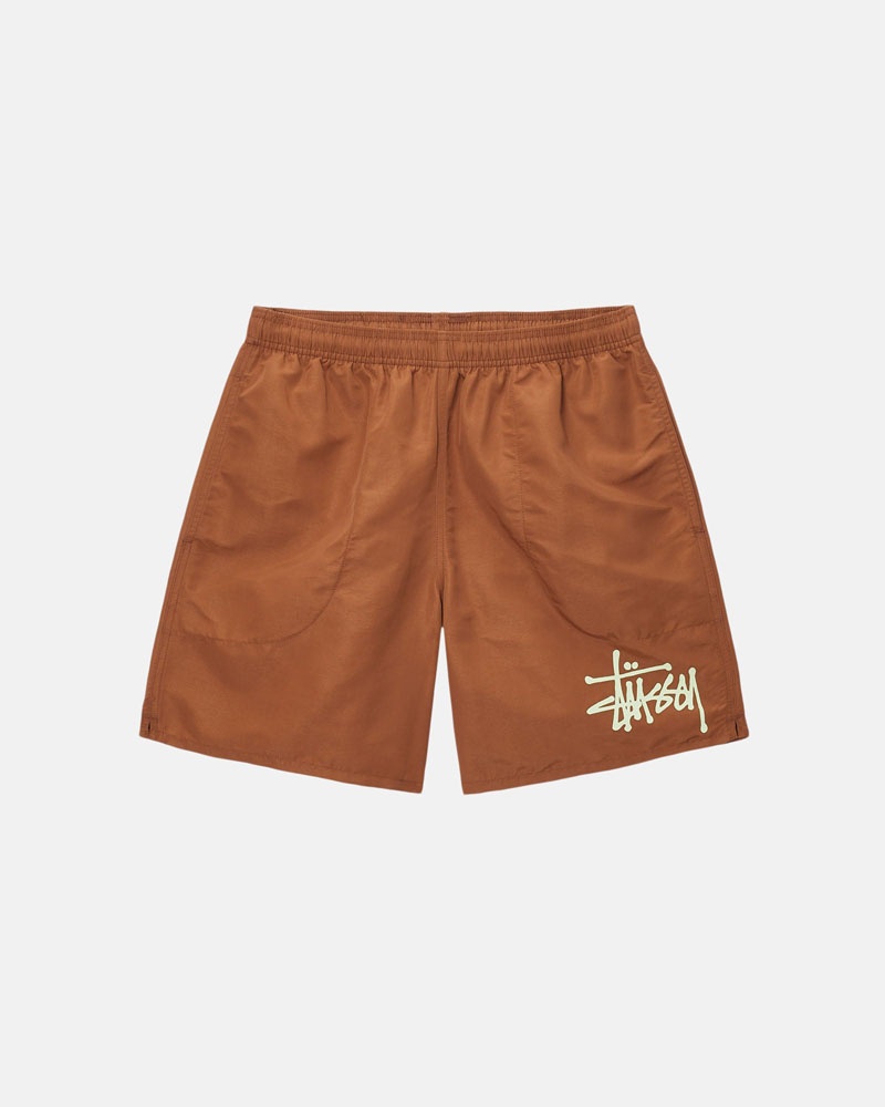 Coffee Stüssy Water Short Big Basic Shorts | UAE LRY295673