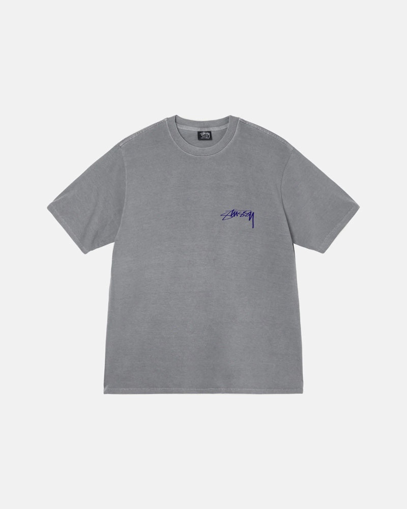 Grey Stüssy Arachnid Pigment Dyed T-Shirt | UAE ZDW459287