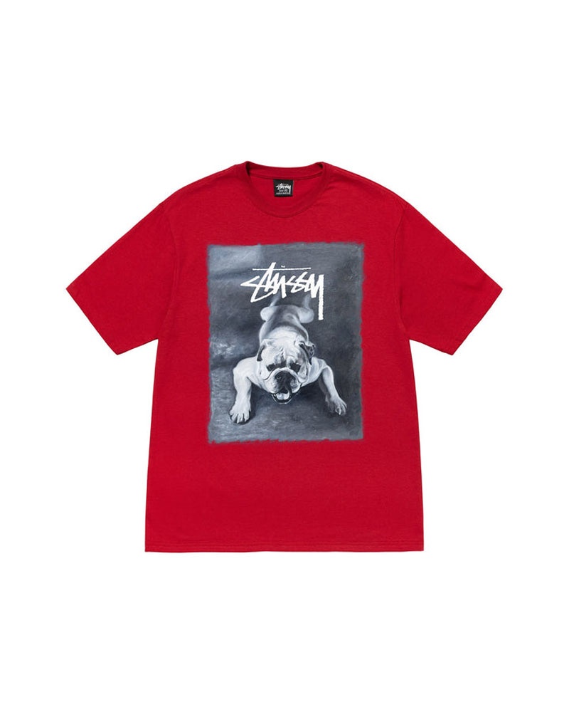 Red Stüssy Bulldog T-Shirt | UAE VTF498567