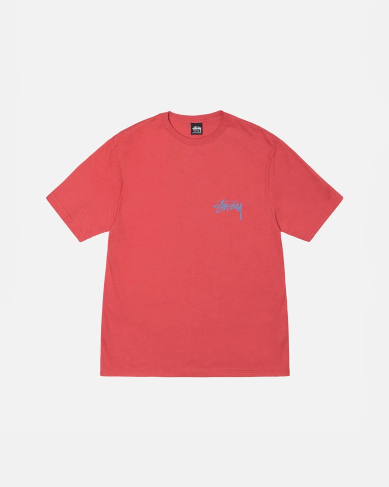 Red Stüssy Classroom T-Shirt | UAE FQW679354