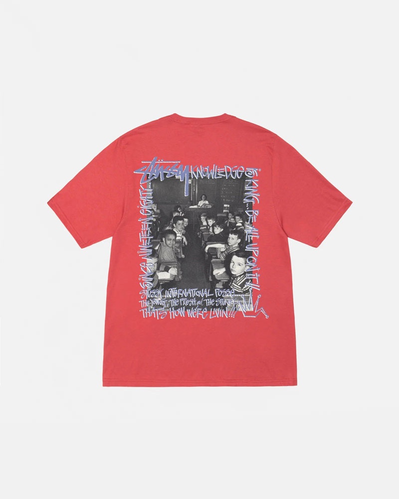 Red Stüssy Classroom T-Shirt | UAE FQW679354