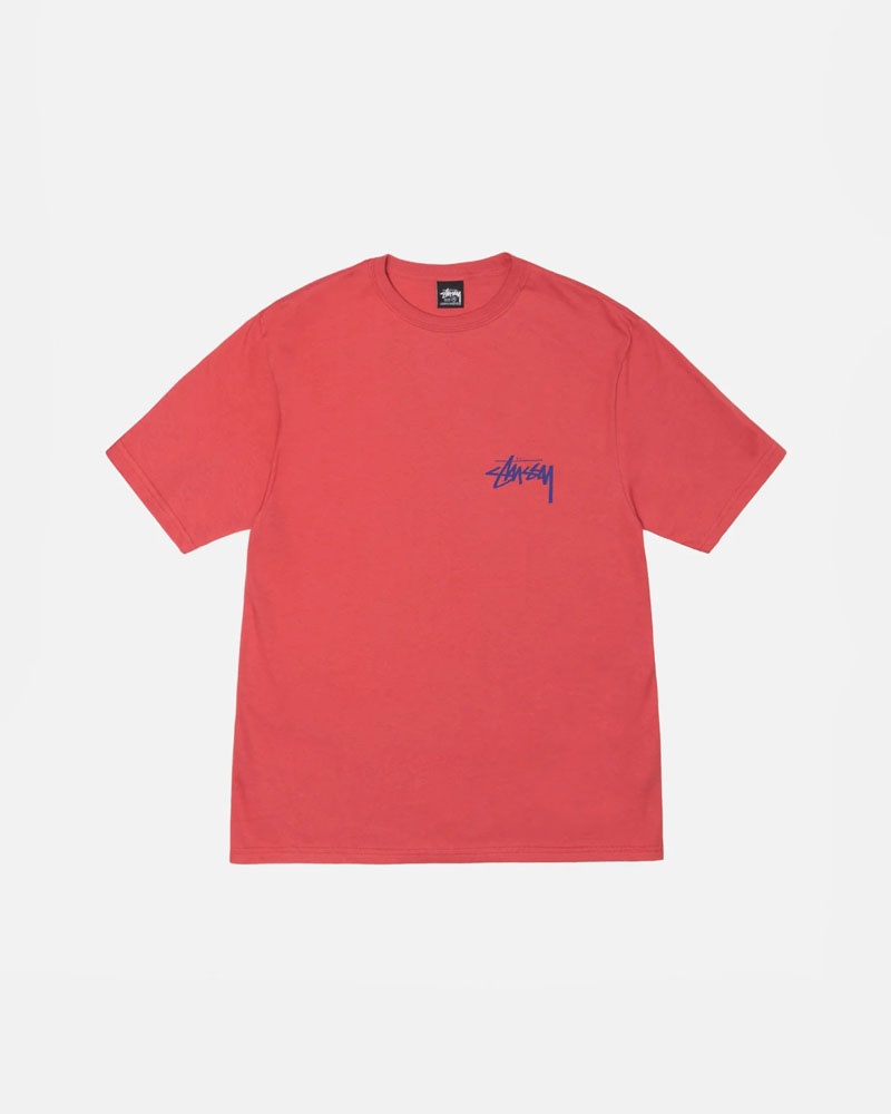 Red Stüssy Skate Tough T-Shirt | UAE EAP475089