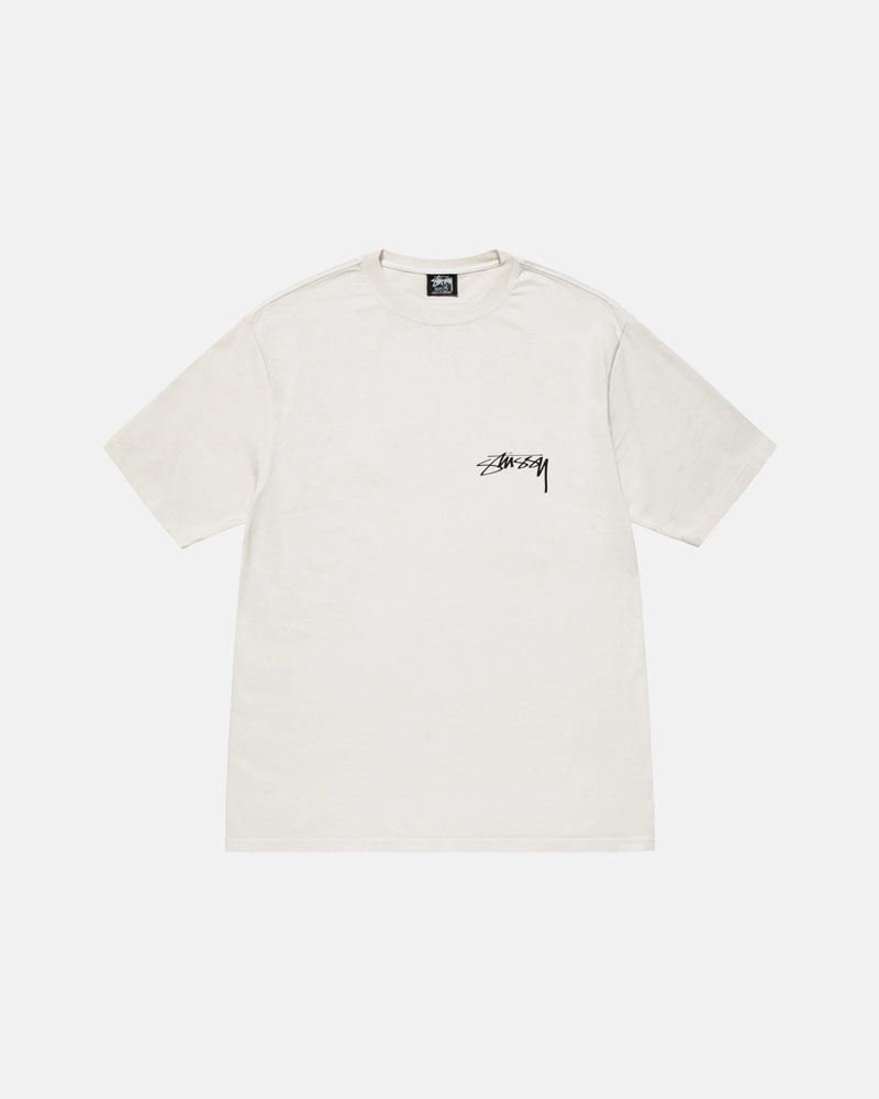 White Stüssy Arachnid Pigment Dyed T-Shirt | UAE WBK784193