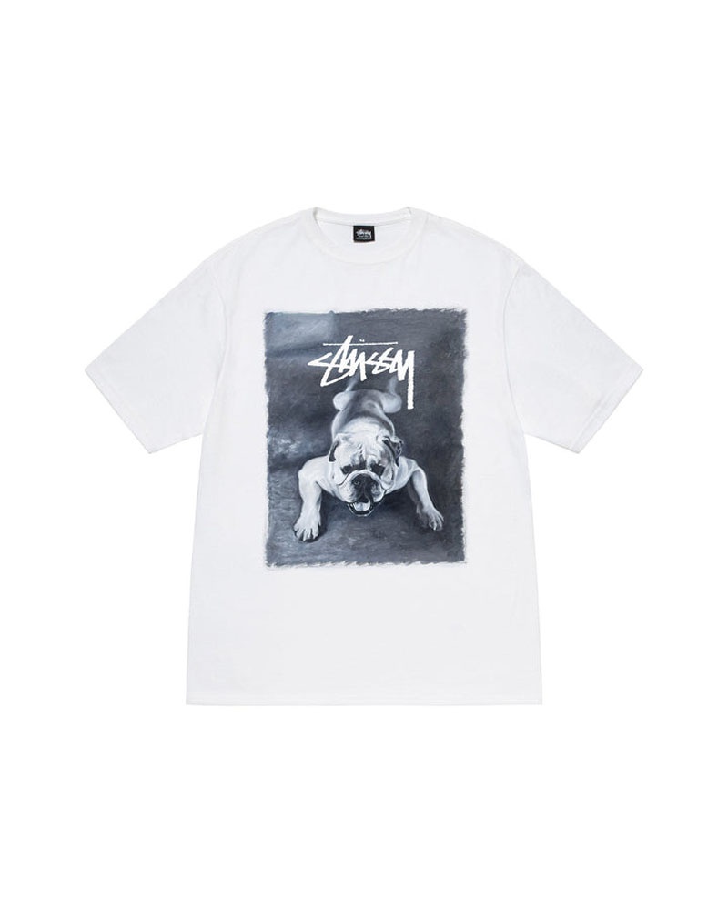 White Stüssy Bulldog T-Shirt | UAE REQ361958