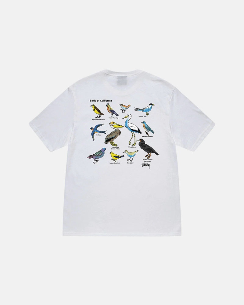 White Stüssy California Birds T-Shirt | UAE GKT926751