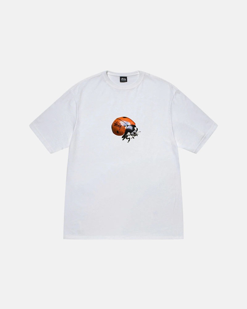 White Stüssy Ladybug T-Shirt | UAE MSY675249