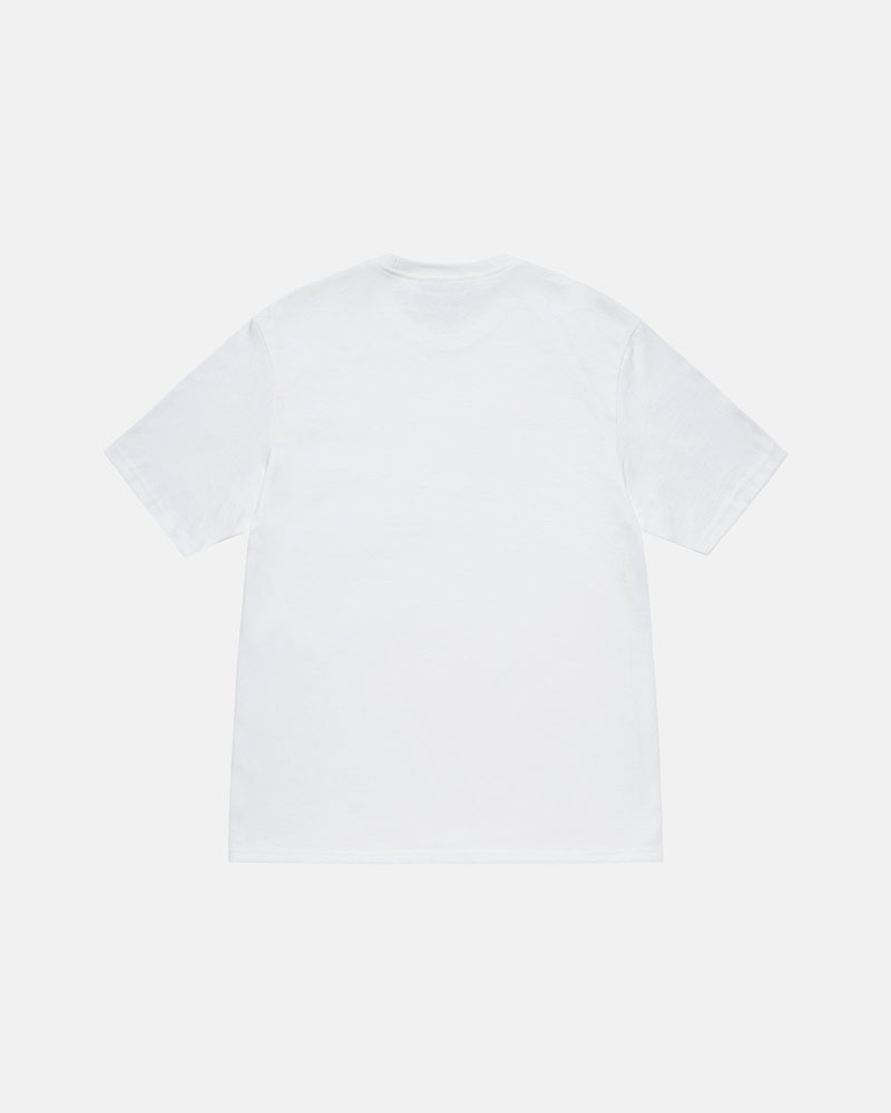 White Stüssy Lucha T-Shirt | UAE MVY124837