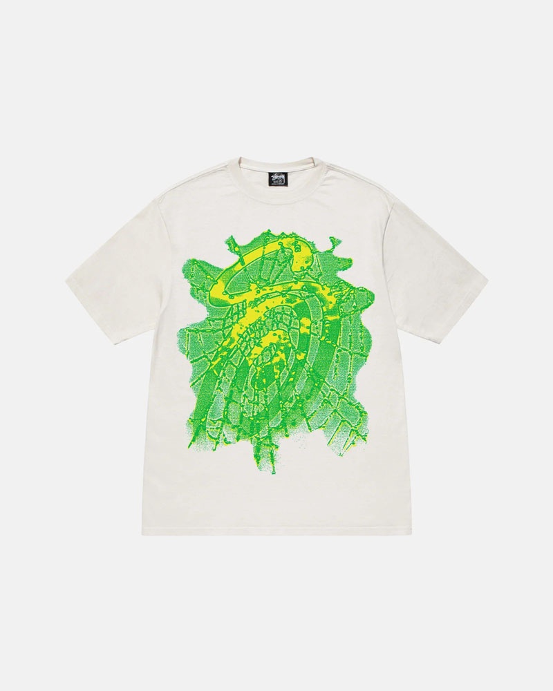 White Stüssy Web Pigment Dyed T-Shirt | UAE LFB041397